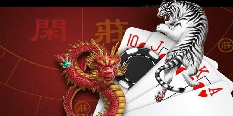 Các Loại Cược Trong Rồng Hổ Tại Bigbet88