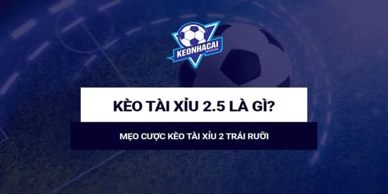 Kèo Tài Xỉu 2.5 Là Gì?