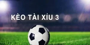 Những Điều Cần Biết Về Tài Xỉu 3 Dành Cho Anh Em Cược