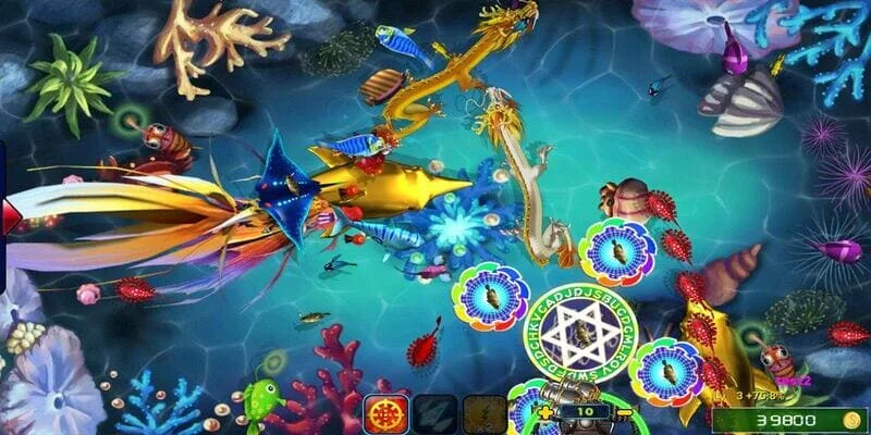 Tại Sao Nên Chơi Vua Săn Cá Tại Bigbet88?